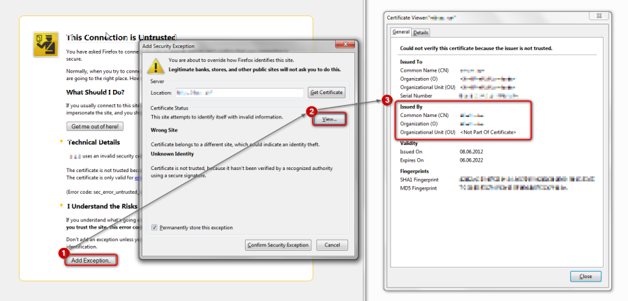 browser security exception